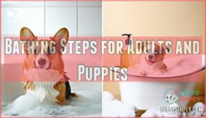 bathing steps for adults and puppies
