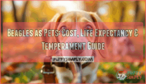 beagles as pets cost life expectancy and temperament beagles as pets cost life expectancy and temperament