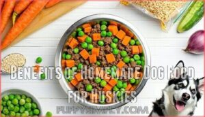 benefits of homemade dog food for huskies
