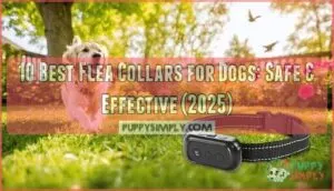 best flea collars for dogs