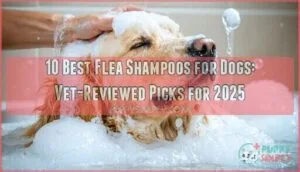 best flea shampoo for dogs