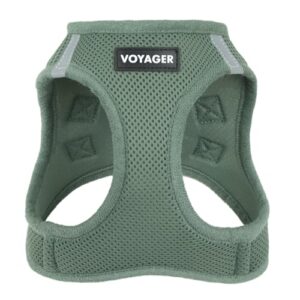 Best Pet Supplies Voyager Step in B0FH8C8YNJ
