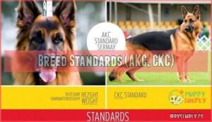 breed standards (akc, ckc)