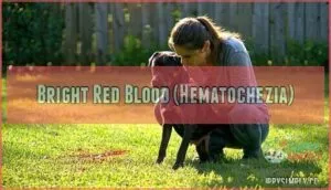 bright red blood (hematochezia)