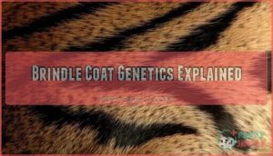 brindle coat genetics explained