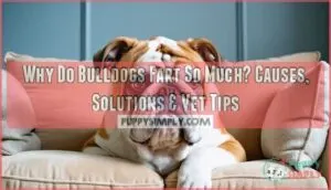 bulldogs do bulldogs fart a lot
