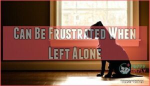 can be frustrated when left alone