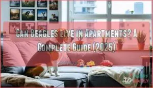 can beagles live in apartments a complete guide