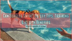 can beagles swim can beagles swim