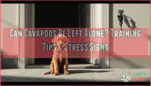 can cavapoos be left alone can cavapoos be left alone