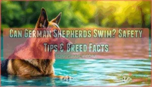 can german shepherds swim can german shepherds swim