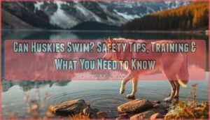 can huskies swim can huskies swim