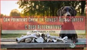 can pointers chew on bones