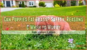 can puppies eat grass
