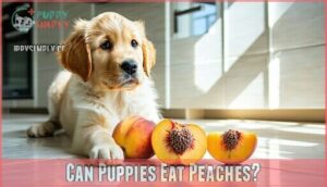 can puppies eat peaches