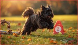 care, exercise, and training needs