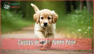 causes of soft puppy poop