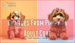changes from puppy to adult coat