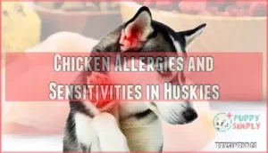chicken allergies and sensitivities in huskies