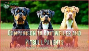 comparison to rottweiler and pitbull parents