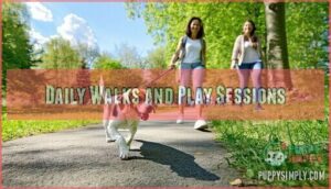 daily walks and play sessions