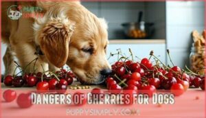 dangers of cherries for dogs