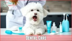 dental care