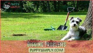 digging problems