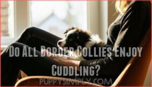 do all border collies enjoy cuddling