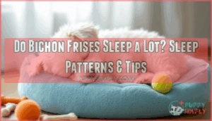 do bichon frises sleep a lot