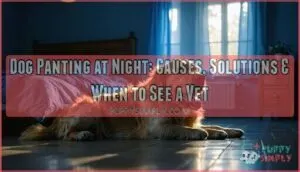 dog panting at night