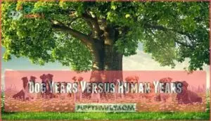 dog years versus human years