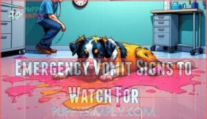 emergency vomit signs to watch for