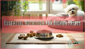 essential nutrition for bichon frises