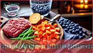 essential nutritional needs for dachshunds