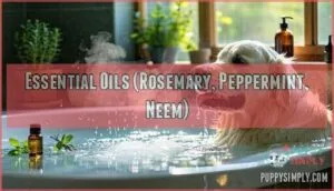 essential oils (rosemary, peppermint, neem)