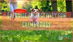 exercise and activity for calmer dogs