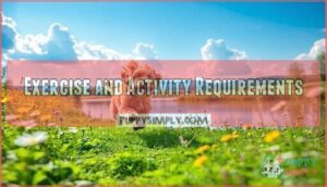 exercise and activity requirements