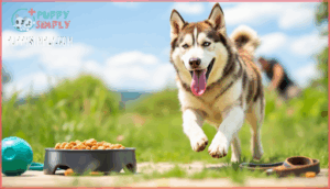 exercise and training needs