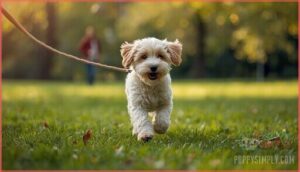 exercise and training requirements