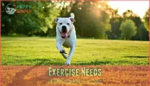 exercise needs exercise needs