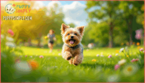 exercise your puppy