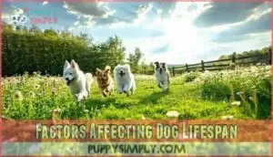 factors affecting dog lifespan