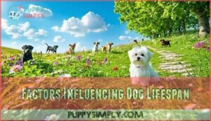 factors influencing dog lifespan