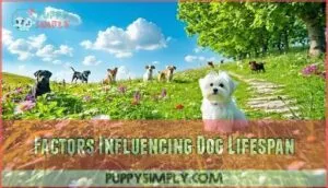 factors influencing dog lifespan