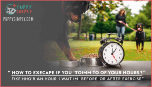 feeding cautions for bloat prevention