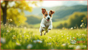 finding a responsible breeder