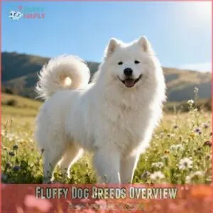 fluffy dog breeds overview