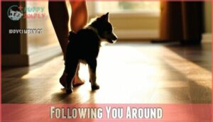 following you around