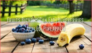 fruits bichons can eat (blueberries, apples, pineapple)